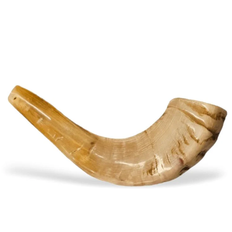 Imagen del producto 7