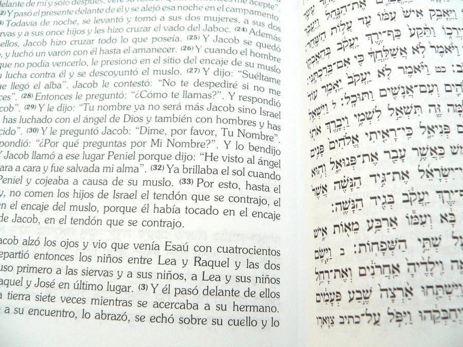 Imagen del producto 4